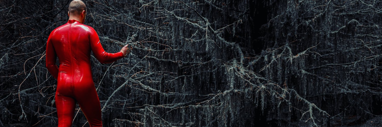 Ll's banner