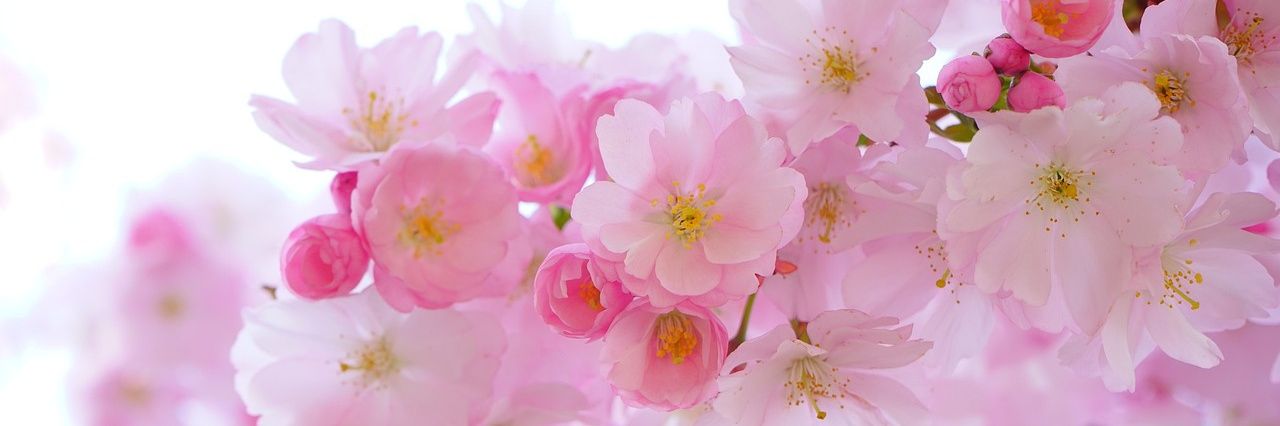 はな's banner