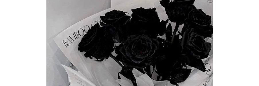 筱筱's banner