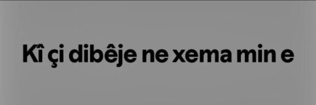Özgür Taşkaya's banner