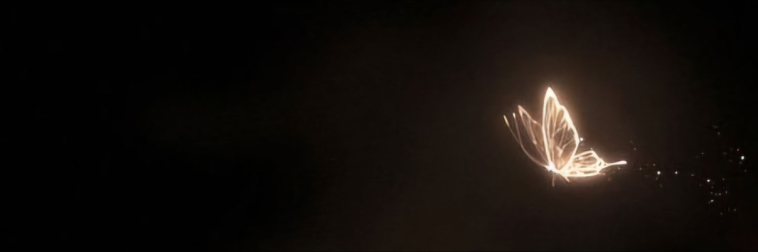 (not) WiWi🍉 🇵🇹🇪🇸🇧🇷🇩🇿's banner