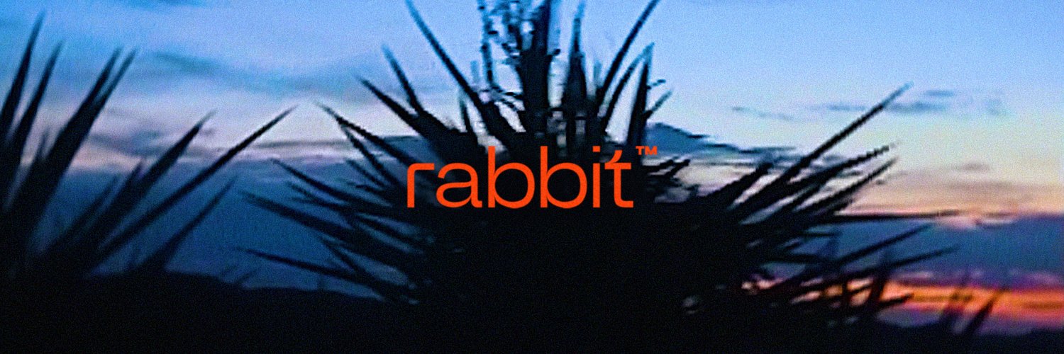 rabbit inc.'s banner