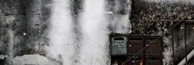 佳多饱 jiaduobao11's banner