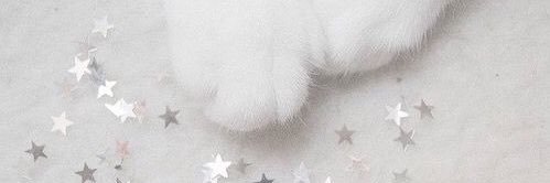 🎀 (busy)'s banner