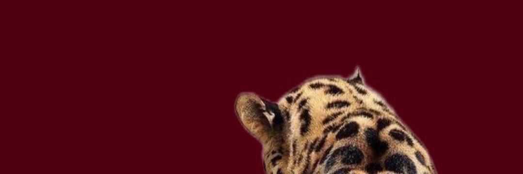kae. 🍒's banner