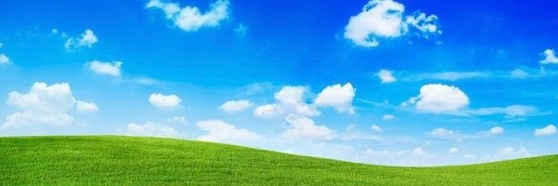BlueRingZ 🍉's banner