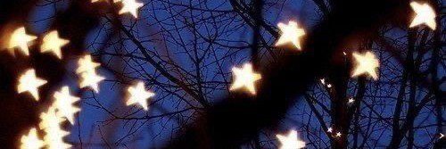 Ellie‼️'s banner