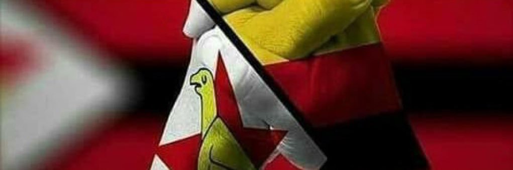 Jay Jay's banner