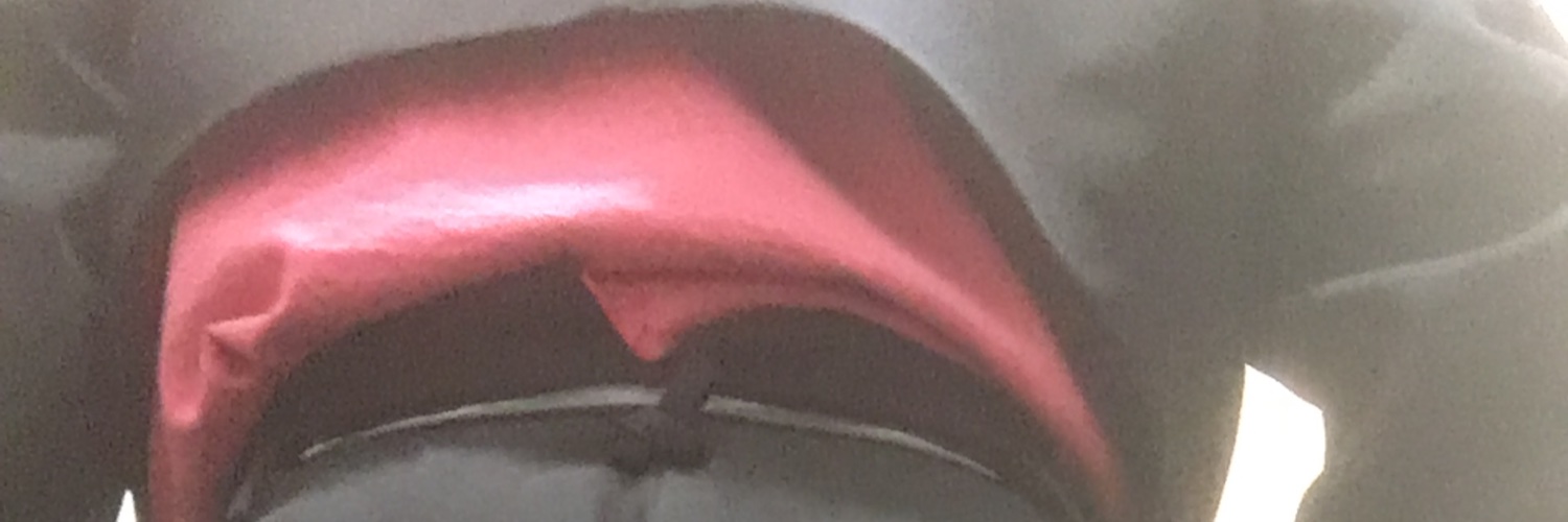 tanruntan's banner