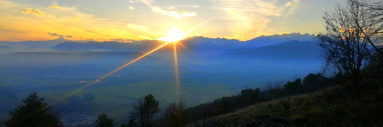 Thē Fįstfül Gärdēən's banner
