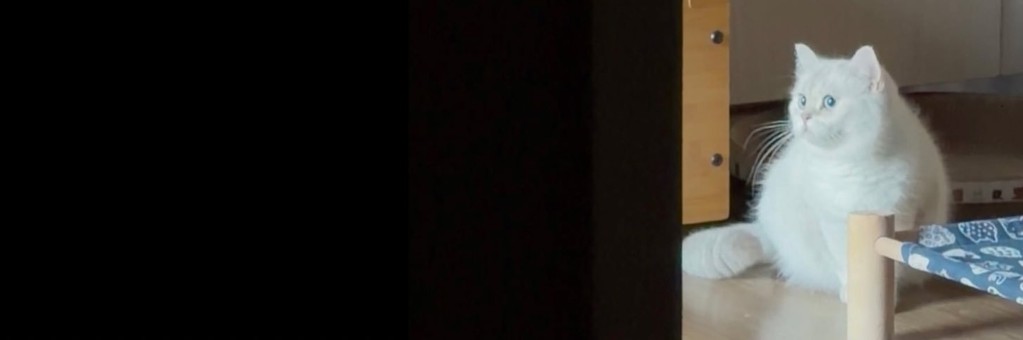 P,t ที่มีหัวใจสี่ดวง 🥹🤏🏻🏳️‍🌈's banner