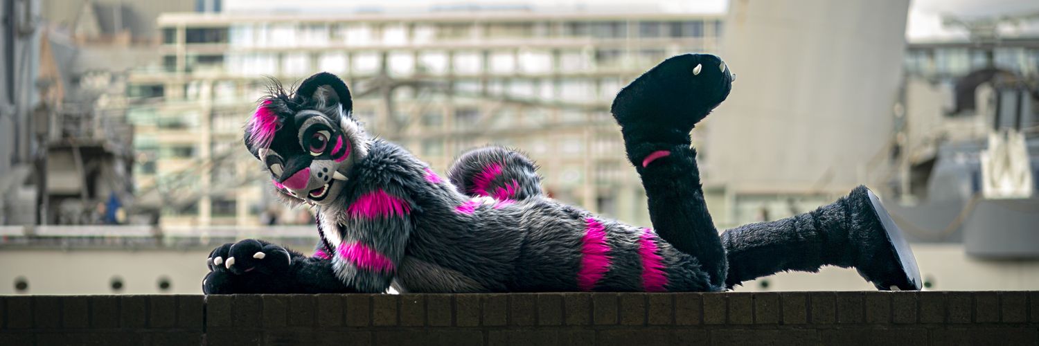 Meeko's banner
