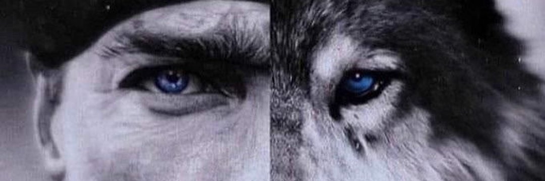Güven JK 🦅🇹🇷͜͡҉✯'s banner