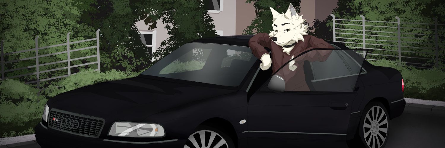 Brachor's banner