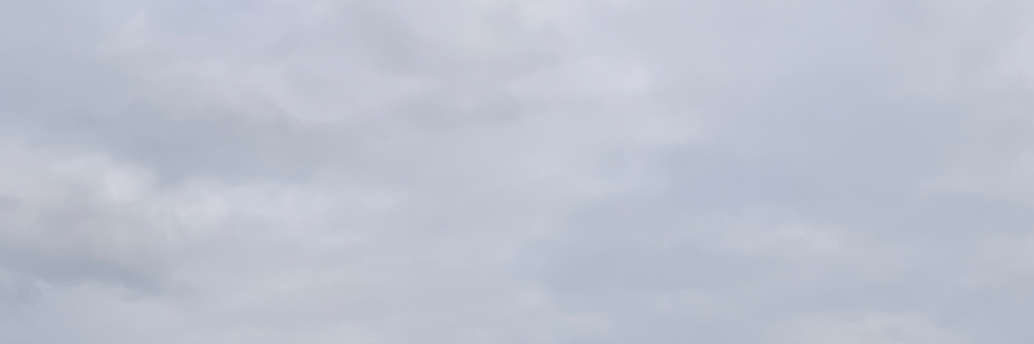 nguynz's banner
