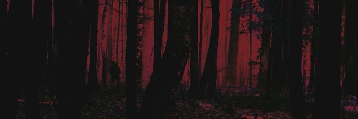 Tino's banner
