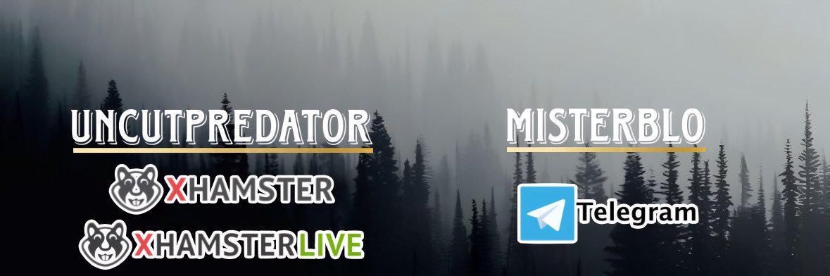 Uncut Predator 🐺🍆🇨🇭's banner
