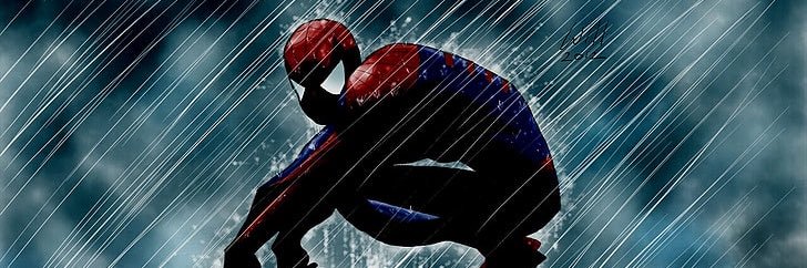 Spider-Dunk's banner
