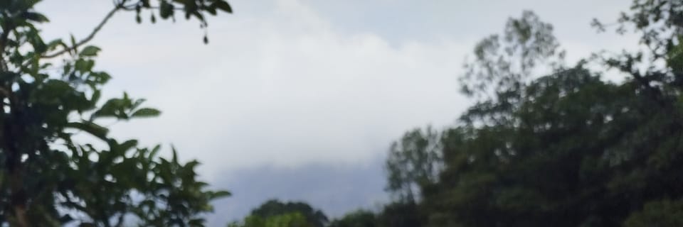 deisy y Edward/ perfil para adultos's banner