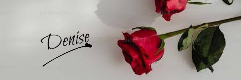 𝓓𝓮𝓷𝓲𝓼𝓮 💫's banner
