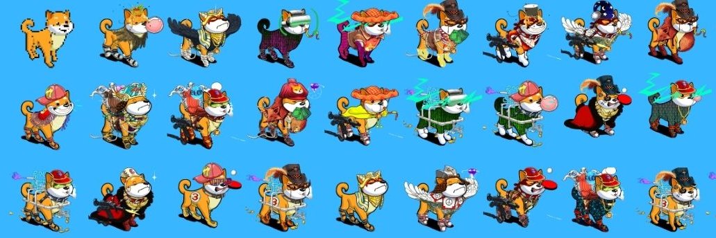 Shiba Gangs's banner