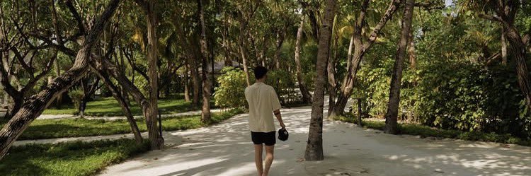 𝐍.'s banner