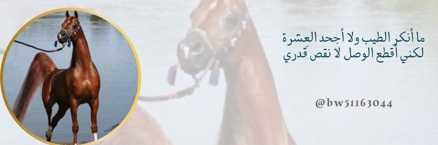أبو ريماس 💚🤍's banner