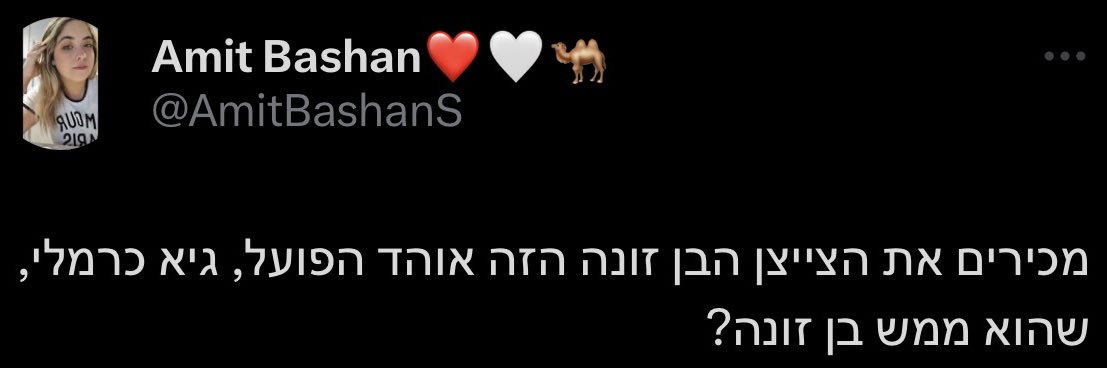 גיא כרמלי's banner
