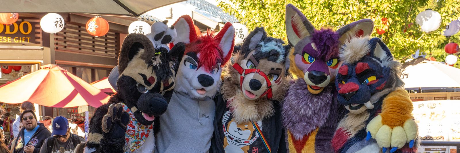 Dogged Dapper 🔜 LVFC's banner
