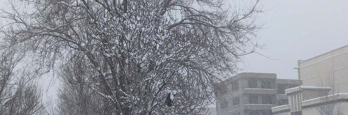 ابـــــــراهــــیـــم's banner