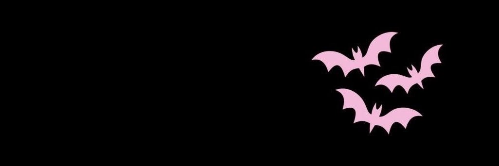 💒🦇's banner