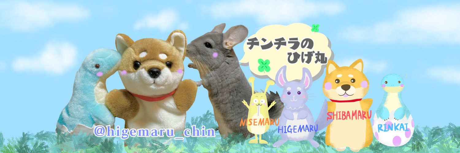 チンチラのひげ丸's banner