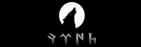 Fatih TERİM's banner