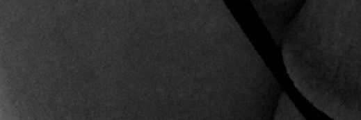 Laura Cicus's banner