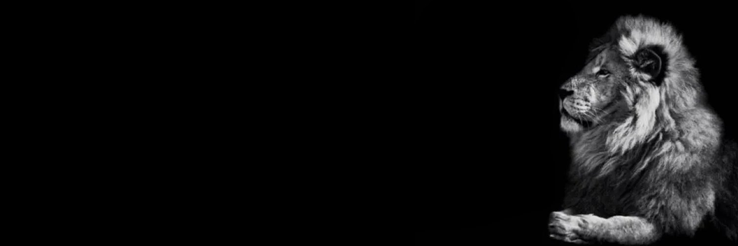 bhronos's banner