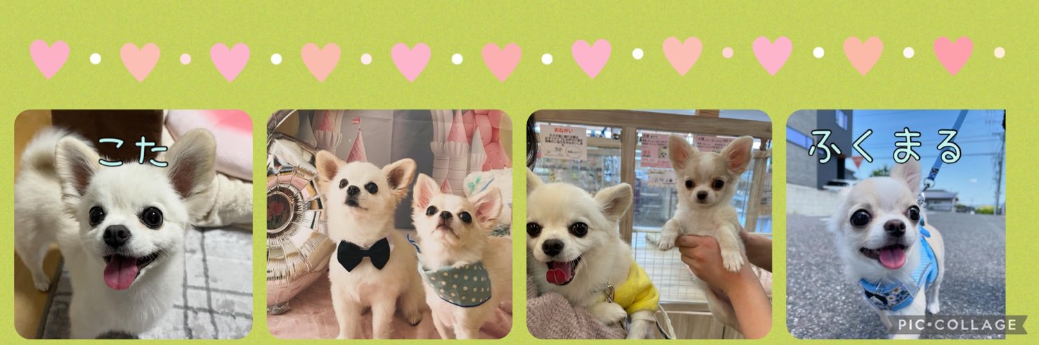 幸多ママ（こたまま）'s banner