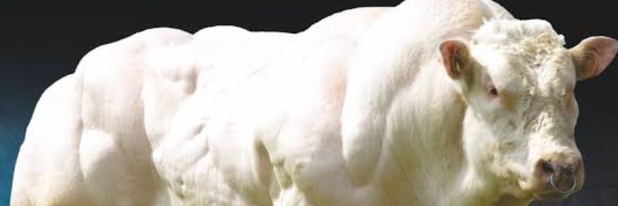 BEN HAMİT KİLOLU KADINLARIN SIRDAŞI DM AÇIK.'s banner