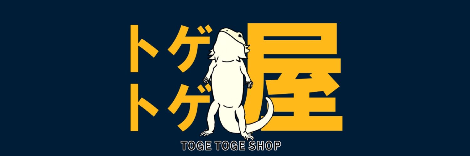 トゲトゲ屋【がしで】フトアゴブリーダー　7/4.5 レプフィ大阪店！'s banner