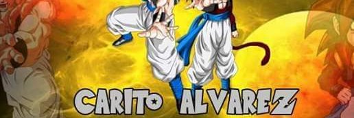 Carito Alvarez's banner