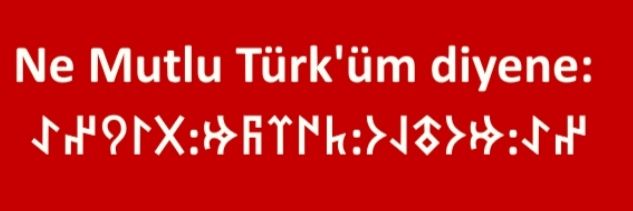 ASENA GÜLCE's banner