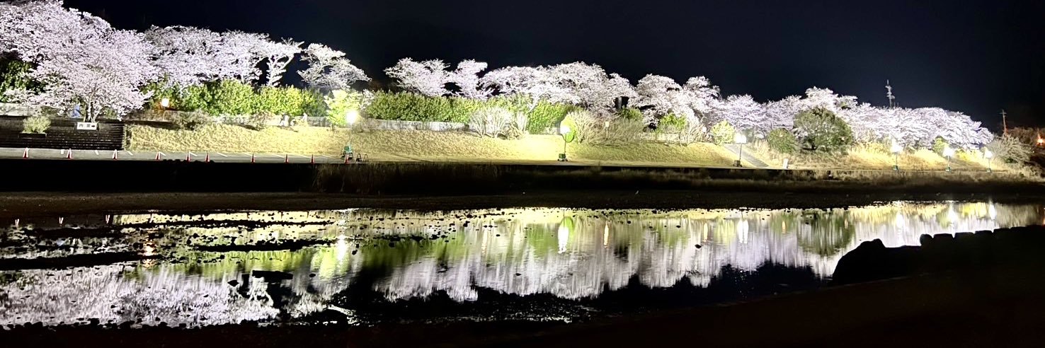 絶景伊勢志摩めぐり旅🏝️'s banner