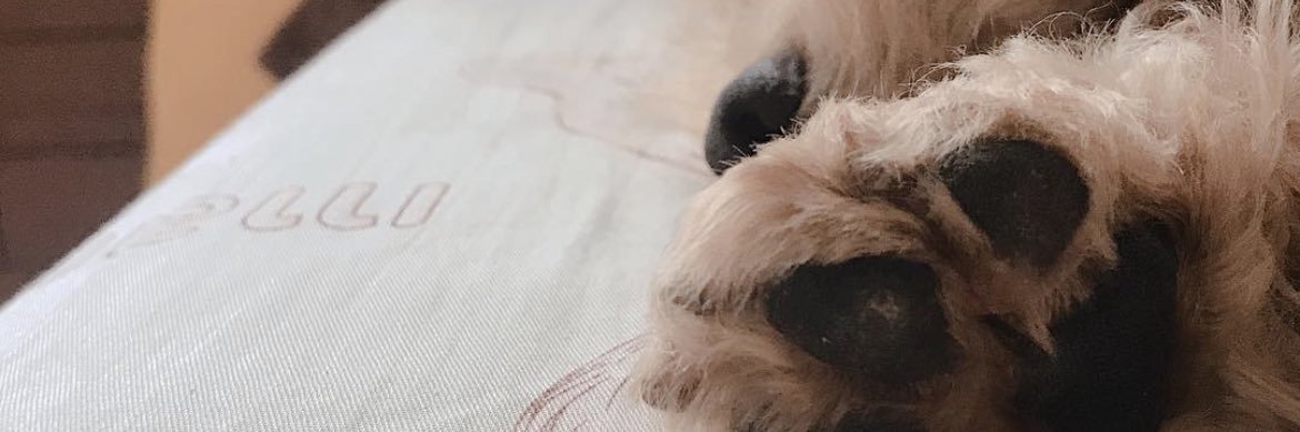 恩恩老師 𝑒𝑛𝑒𝑛's banner