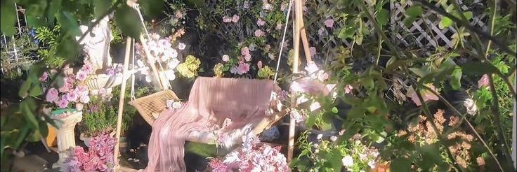 ꜱʜɪᴢᴜᴋᴀ's banner