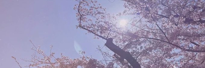 유두's banner
