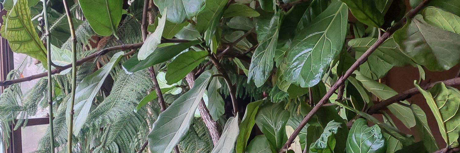 Wheremehousekey's banner