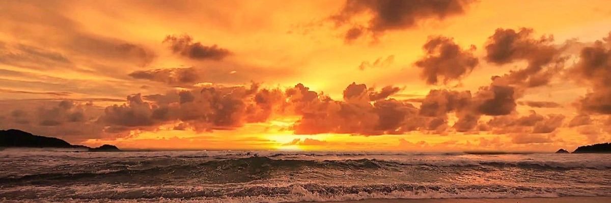 𝒵𝑒𝓎𝓃𝑒𝓅's banner