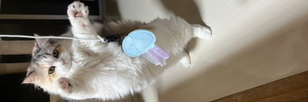 めるちゃんだよ's banner
