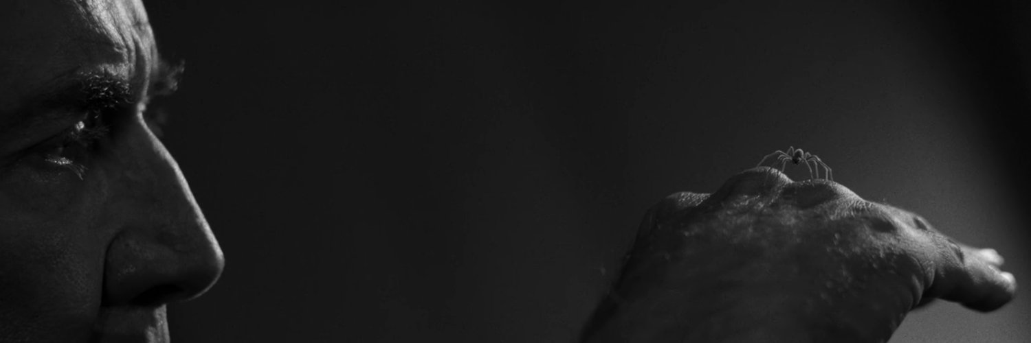 🦅 project hail dearly 👻🔎🍉 🕷️NOIR LOCKDOWN's banner