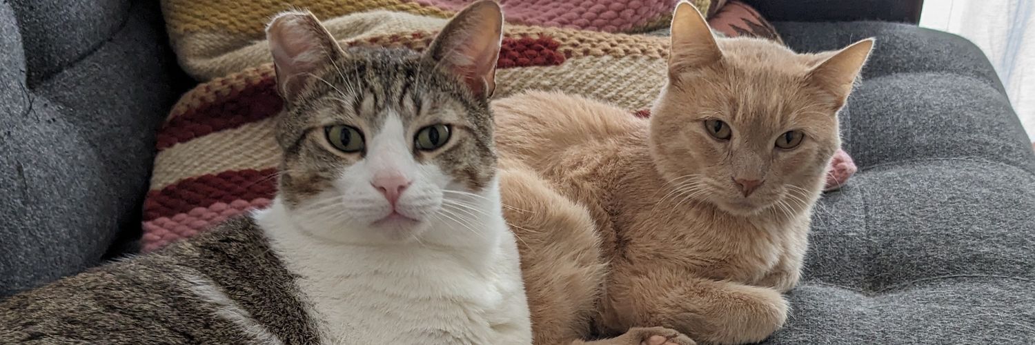 Beefaroni & Marvin 🍖's banner