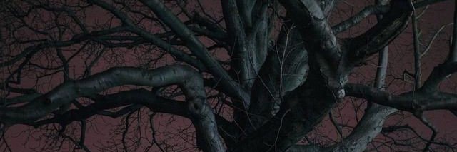 🖇️'s banner